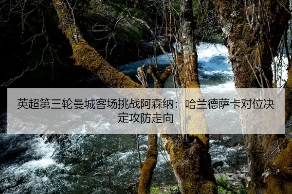 ying-chao-di-san-lun-man-cheng-ke-chang-tiao-zhan-a-sen-na-ha-lan-de-sa-ka-dui-wei-jue-ding-gong-fang-zou-xiang-2-639.jpg